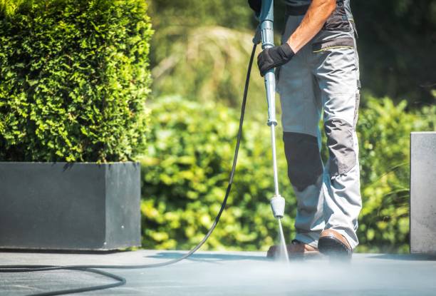 Best Animal Enclosure Cleaning  in Westchester, FL