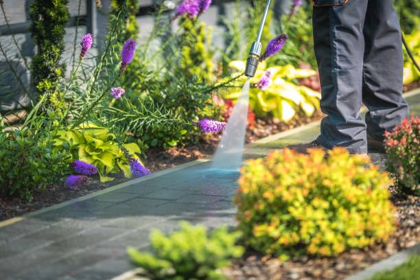  Westchester, FL Pressure Washing Pros